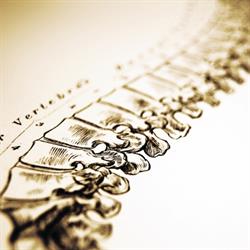 Levin Chiropractic