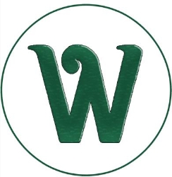 Web Expert - Web Design and Digital Marketing