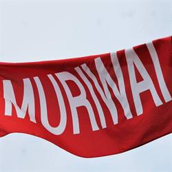 Te Iwi o Ngai T?manuhiri