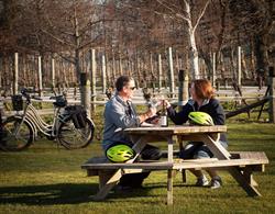 Wine Tours by Bike, with Lorelle & Greg - Self-Guided Bike Hire in Marlborough
