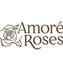 amore roses