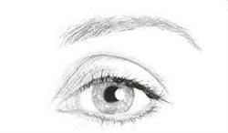Visio Forma