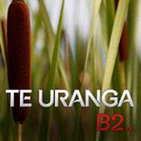 Te Uranga B2 Incorporation