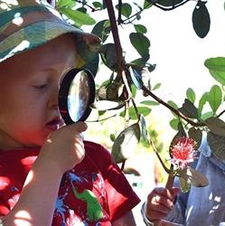Lollipops Childcare & Daycare Centre Coatesville