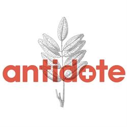 Antidote Lake Dunstan