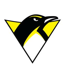Capital Penguins Inline Hockey Club