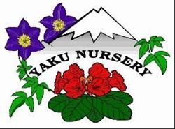 Yaku Nursery