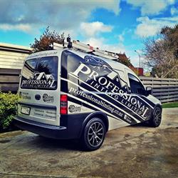Professional Tinting Ltd