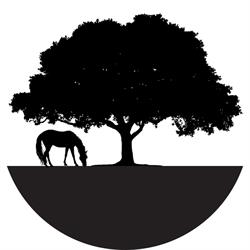 Golden Oaks Equestrian NZ