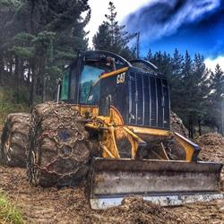Southern Forests NZ LTD