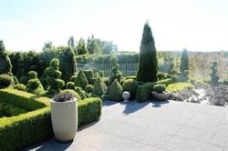 Stablehouse Design, Plant Nursery and Open Garden