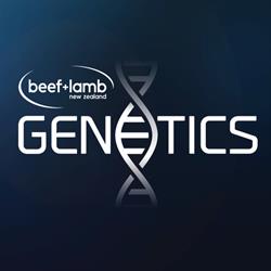 B+LNZ Genetics