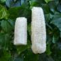 Whole Loofah
