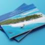 Turama Brochure Design