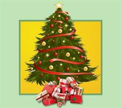 PandR Christmas Tree Farm