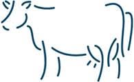 Ashburton Vets