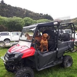 Otago Pest Services Ltd