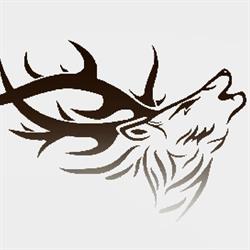 Scott Thomson's Red Stag Hunting New Zealand