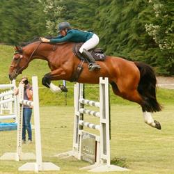 Redcliffs Equestrian