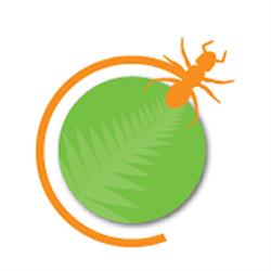 NZ Pest Control - Auckland