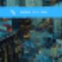 Firefly – SEO Company Auckland