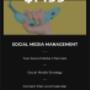 Social Media Management 2