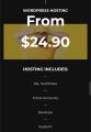 Website-Hosting