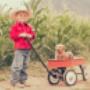 The Toy Wagon