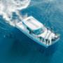 Motuara Island & Dolphin Cruise