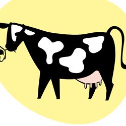 Buttercup Dairies NZ
