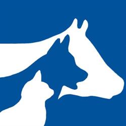 Coastal Vet Services