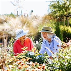 Aspiring Lifestyle Retirement Village