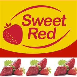 Sweet Red Strawberries