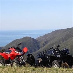 Wellington Adventures - Quad Bike Expeditions