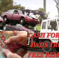 NZ Auto Recycle Ltd