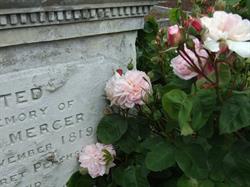 Dunedin Northern Cemetery