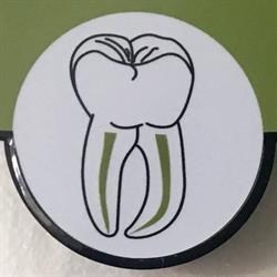 The Endodontic Practice