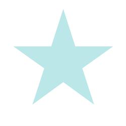 Southstar Equine