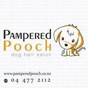 Pampered Pooch