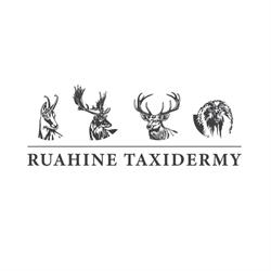 Ruahine Taxidermy