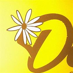 Daisys of Jervois