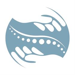 Balance Chiropractic Ltd