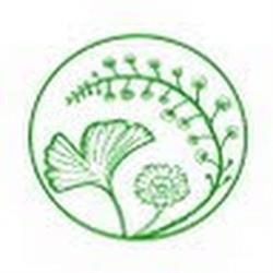 Autumn Falk Naturopath