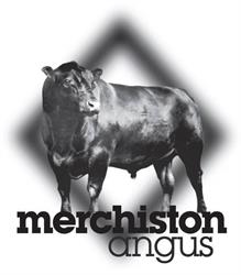 Merchiston Angus