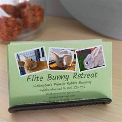 Elite Bunny Retreat