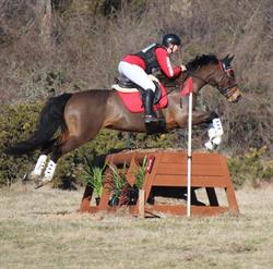 Sumner Valley Riding School
