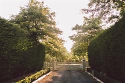 Hedges Estate