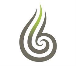 Te Rito Maioha Early Childhood New Zealand - Wellington Education Centre