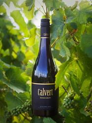 Calvert Vineyard