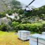 bees by helicopter